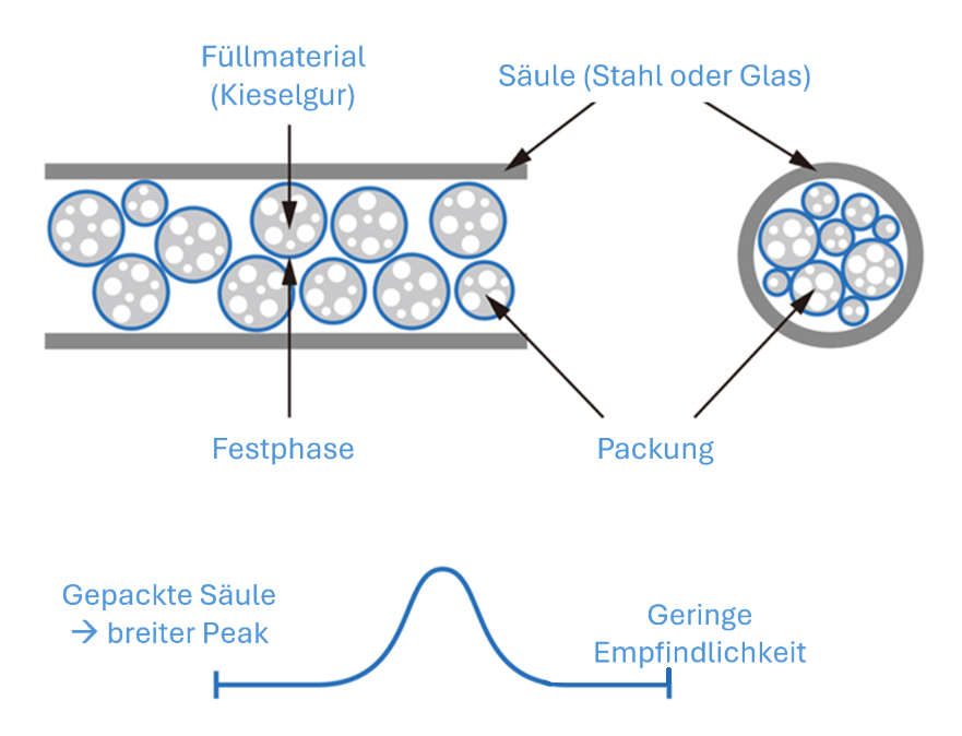 Querschnitt gepackte Säule